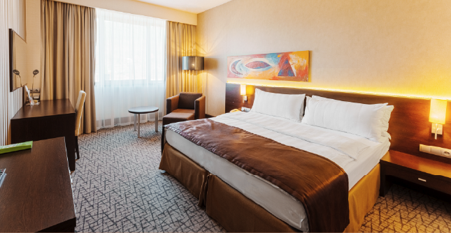 Standard Double Room at Holiday Inn Žilina.