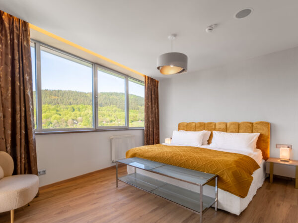 Holiday Inn Žilina double room with a mountain view.