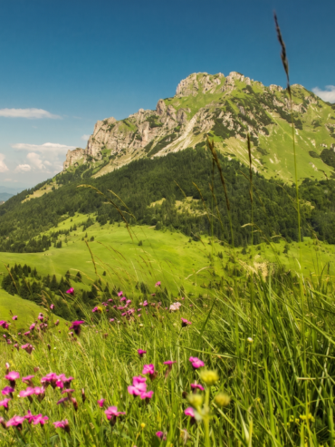 Veľký Rozsutec mountain in summer.